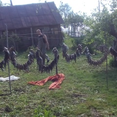 Сергей Тимашков, 10.11.1984, Могилёв