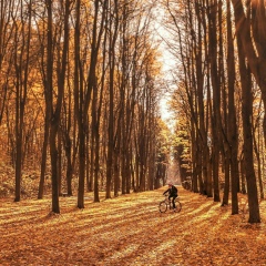 Искендер Мамадиев, 05.11.1990, Москва