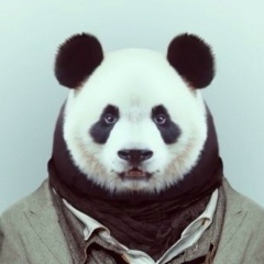 Мұнар Балхин, 04.06, Алматы