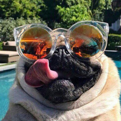 Артём Белый, 14.05.1987, Донецк