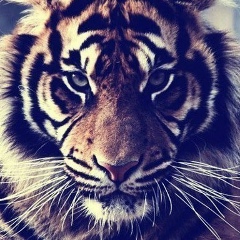 Настя Глаголева, 21.05, Нижний Новгород