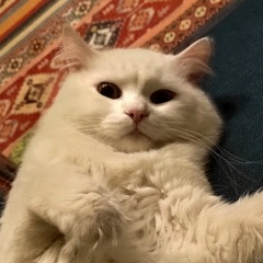 Максим Владимирович, 04.03, Новосибирск