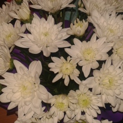 Светлана Харина, 18.05.1984, Алматы