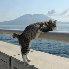 Женя Женя, 14.11, Санкт-Петербург