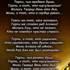 Лаура Дамаева, 14.11