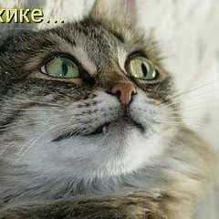 Максим Лядов, 01.06.1990, Сасово