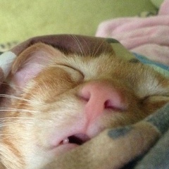 Евгения Ширяева, 22.08, Ярославль