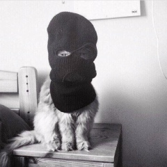 Малик Азимов, 01.01, Грозный