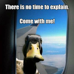 Dmitry Nonickname, 29.10