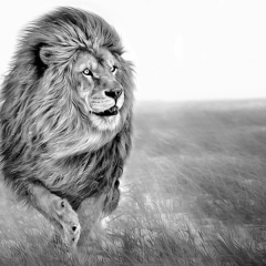 Erlan Rustavletov, 20.11.1982