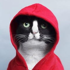 Василий Бурнашев, 28.02.1985, Якутск