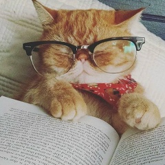 Игорь Яцунский, 30.10.1982, Одесса