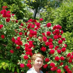 Дания Дильмухамедова, 12.12, Suwon