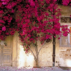 Татьяна Вертий, 18.10.1979