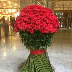 Ажар Наурызбаева, 20.11, Туркестан