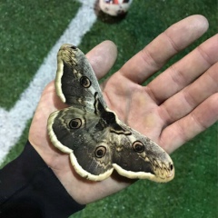 Резама Нохчиева, 21.03.1998, Грозный