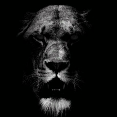 Абус Юсупов, 04.08.1979, Хасавюрт