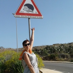 Елена Лесина, 21.11.1964, Подольск / Котовск