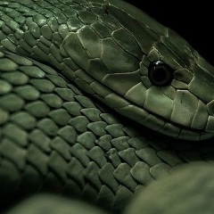 Kisha Khestanuchi, 22.05, Нальчик