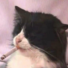 Серже Грошев, 01.01.1988, Shenzhen