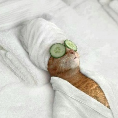 Виктор Комаров, 09.11.1988, Санкт-Петербург