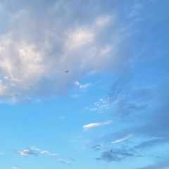 Людмила Иванова, 04.11