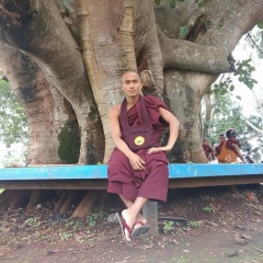 နတ္ေမာက္သားရဟန္း နတ္ေမာက္သားရဟန္း, 01.02.2004