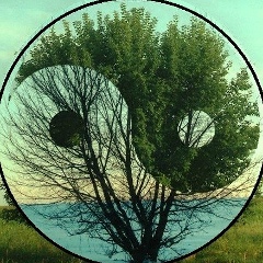 Илья Мухин, 14.05.1982, Череповец