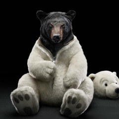 Владимир Назаренко, 29.08, Киев