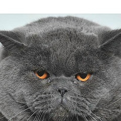 Андрей Аленичев, 27.08.1969, Москва