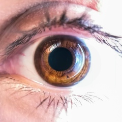 Полина Линова, 23.11.1986, Краснодар