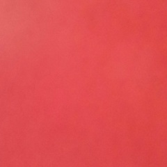 Александр Петрина, Nysa