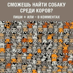 Самира Сеитова, Алматы