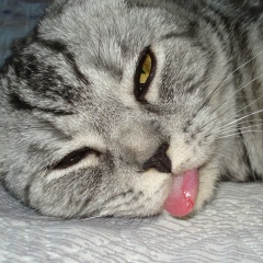 Елена Ешкутова, 14.05, Сыктывкар