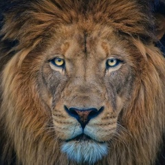 Рамзан Масхадов, 05.04.1982, Тюмень