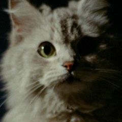 Александр Сотников, 22.07.1988, Санкт-Петербург