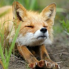 Юлия Лаврова, 01.07, Москва