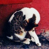 Станислав Мороз, 14.11, Москва