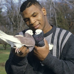 Bashir Башир, Marseille