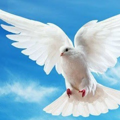 Ксения Калугина, 12.05