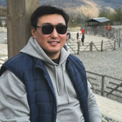 Владимир Тогошиев, Москва