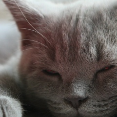 Анастасия Корабельникова, 02.01, Москва