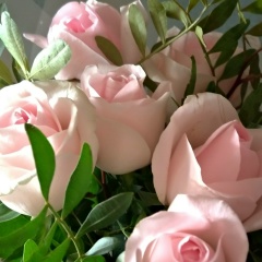 Светлана Ильмурзина-Блинова, 25.11, Самара