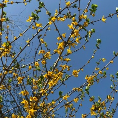 Гульнура Алмабекова, Астана