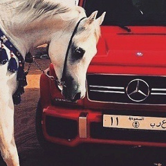 Рошка Зарбалиев, 18.09, Люберцы