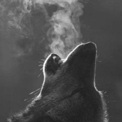 Алексей Карабаев, Москва