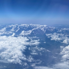 Алексей Кот, Санкт-Петербург