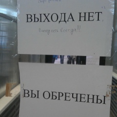 Дмитрий Каськов, 01.09.1982, Нижнекамск
