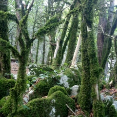 Михаил Воронин, 18.09, Новосибирск
