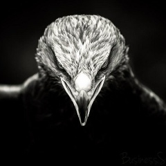 Адзы Магомедов, 29.08, Сергиев Посад